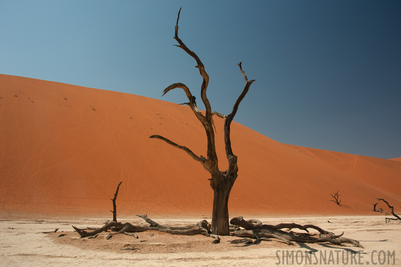 Namib-Naukluft National Park [28 mm, 1/250 sec at f / 13, ISO 400]